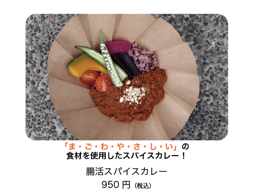 腸活スパイスカレー